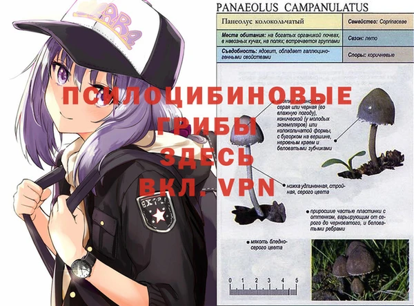 каннабис Майский