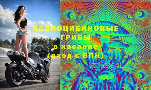 марихуана Магас