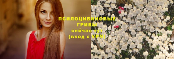 каннабис Майский