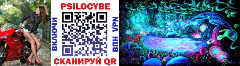 где найти наркотики гидра ТОР Галлюциногенные грибы Cubensis Сальск