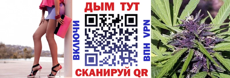 наркота  Сальск  Шишки марихуана семена 